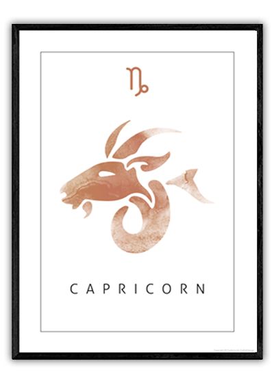 Capricorn - Billede 1